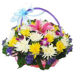 24鲜花在线观看,浪漫邂逅，情感绽放