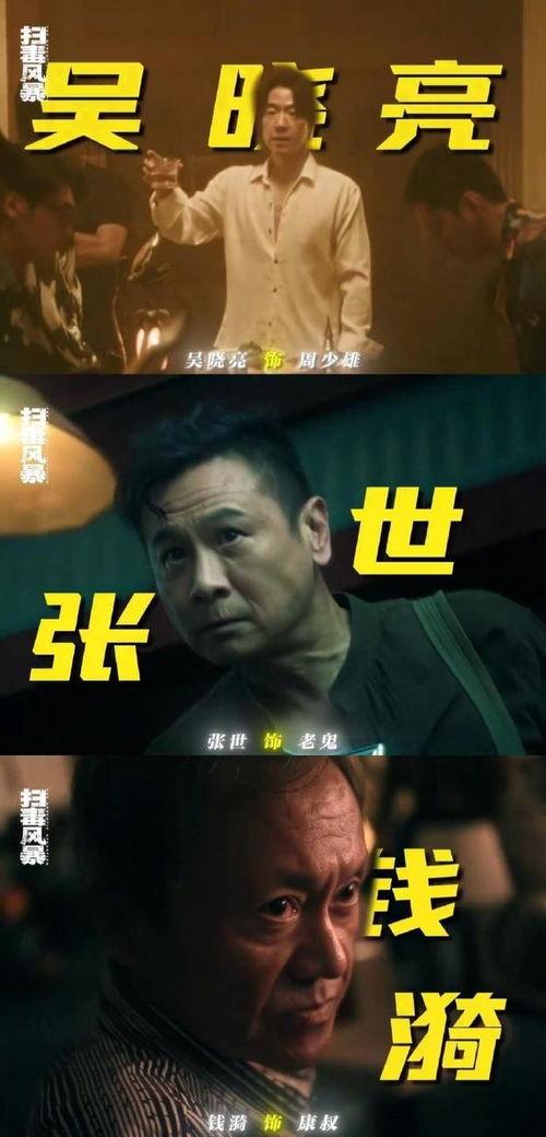 扫毒1在线播放国语,毒品世界的生死较量