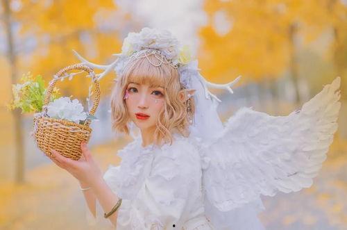 永远的洛丽塔 在线播放,经典名著在线播放之旅