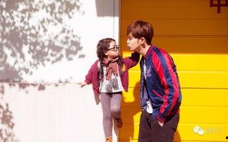 阿拉蕾的老公,阿拉蕾老公的奇妙冒险之旅