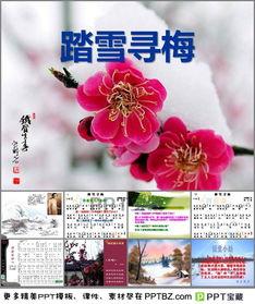 踏雪寻梅免费观看,免费畅享冬日浪漫之旅