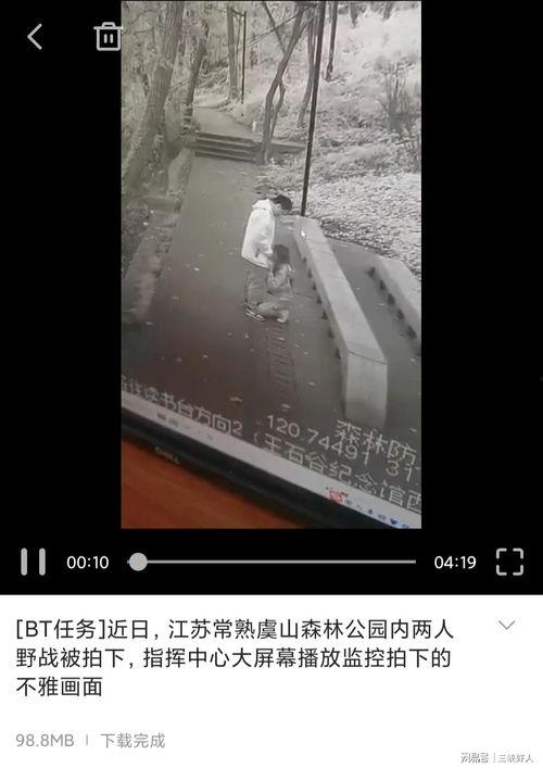 公园监控拍下视频,日常休闲时光里的温馨瞬间