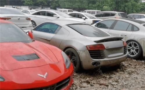 最新玛莎爆料视频大全集,揭秘幕后真相与精彩瞬间