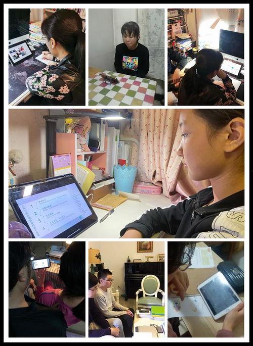 共助在线播放,揭秘神秘共助世界的奇幻之旅