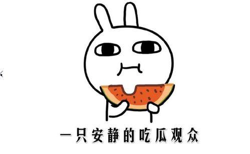 吃瓜群众在线吃瓜的意思,吃瓜群众在线“瓜田”狂欢