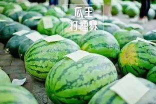 每日大赛吃瓜入口