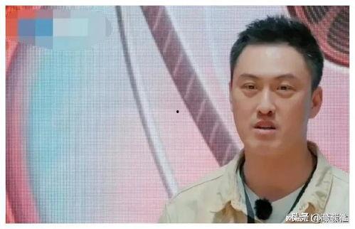 我在娱乐圈吃瓜爆红最新,揭秘幕后爆红背后的故事