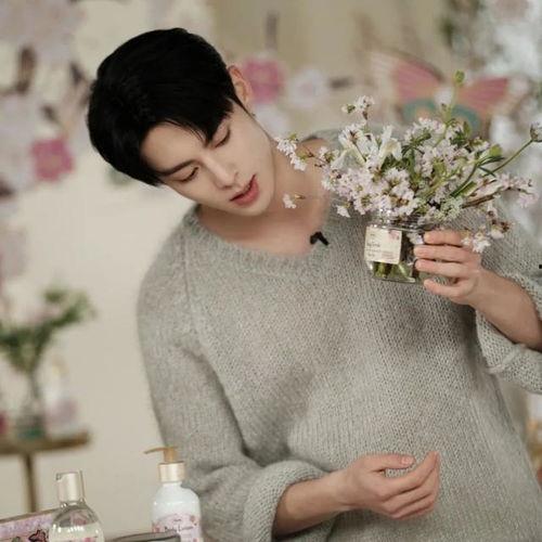 娱乐八卦吃瓜赵丽颖小说,娱乐圈的甜蜜瓜田，揭秘明星背后的爱情故事