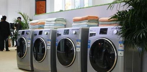 娱乐吃瓜网洗衣机,洗衣机界的明星产品盘点