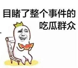 娱乐吃瓜扎心文案图片