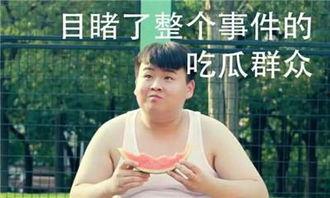 娱乐圈吃瓜笑岔气,吃瓜群众笑岔气大集合