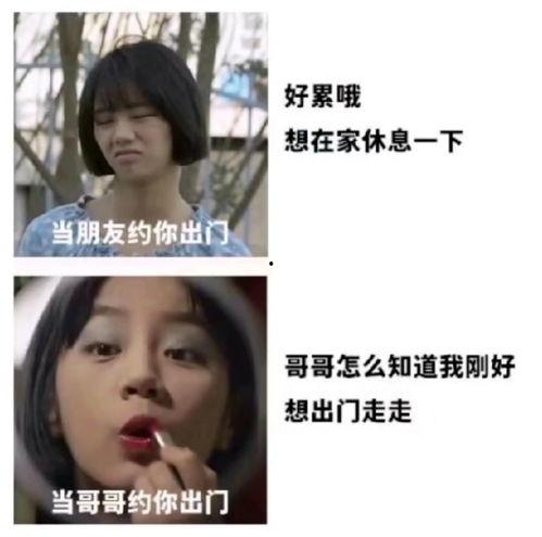 沙雕娱乐圈吃瓜小说推荐,揭秘明星背后的疯狂故事