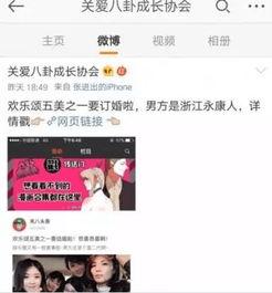 吃瓜豪门娱乐圈小说,娱乐圈的瓜田秘闻