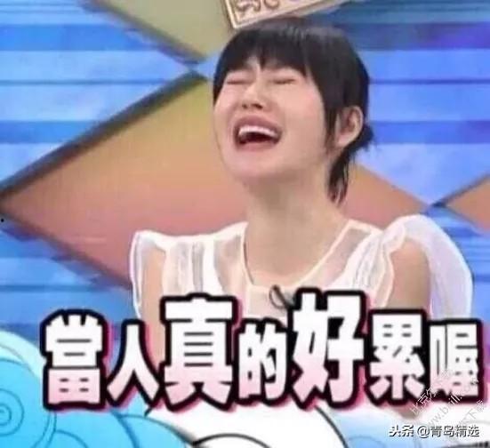 娱乐圈吃瓜文献